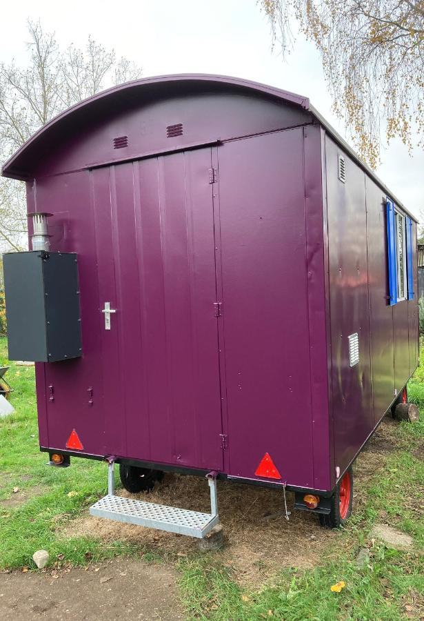 Pipowagen Paarse Opal Lienden Exterior foto